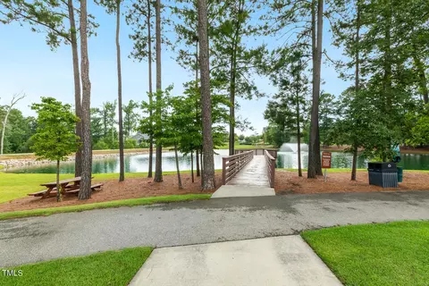 309 Painthorse Ln, Wendell, NC 27591 photo 67