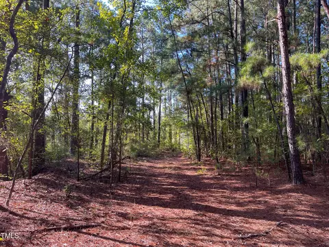 614 Old Hamilton Rd, Dunn, NC 28334 photo 2