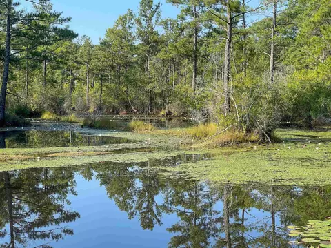 614 Old Hamilton Rd, Dunn, NC 28334 photo 6