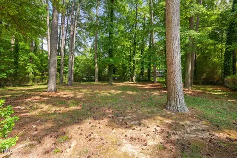 905 Spruce Pine Trl, Durham, NC 27705 photo 6