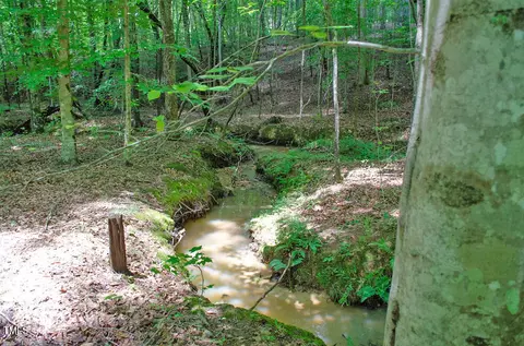 0 Range Rd, Stem, NC 27581 photo 35