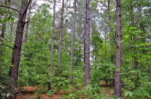 0 Range Rd, Stem, NC 27581 photo 28