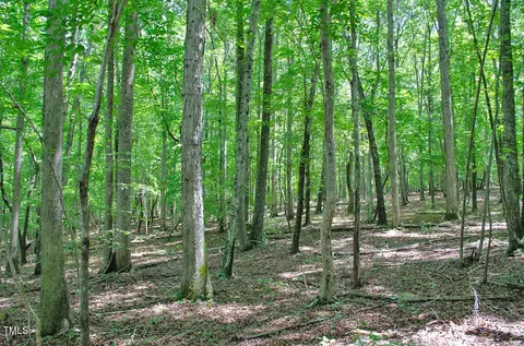 0 Range Rd, Stem, NC 27581 photo 31
