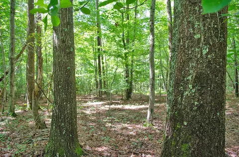 0 Range Rd, Stem, NC 27581 photo 18