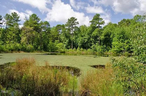 0 Range Rd, Stem, NC 27581 photo 12