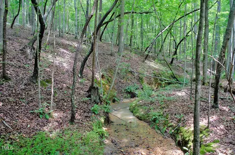0 Range Rd, Stem, NC 27581 photo 34