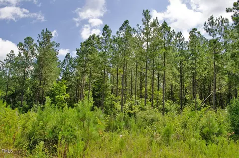 0 Range Rd, Stem, NC 27581 photo 13
