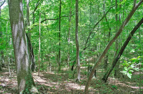 0 Range Rd, Stem, NC 27581 photo 30