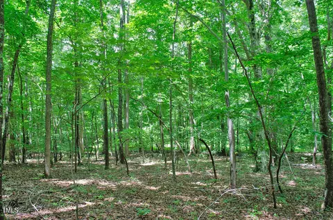0 Range Rd, Stem, NC 27581 photo 29