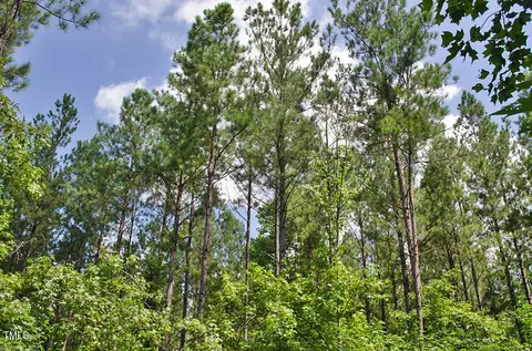 0 Range Rd, Stem, NC 27581 photo 20