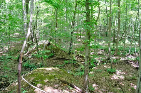 0 Range Rd, Stem, NC 27581 photo 32