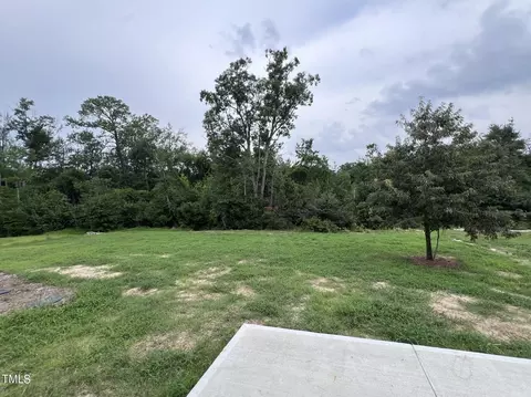 317 Touchdown Way, Benson, NC 27504 photo 22