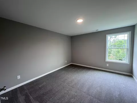 317 Touchdown Way, Benson, NC 27504 photo 19