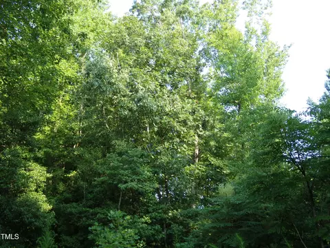 00 Anderson Rd, Spring Hope, NC 27882 photo 4