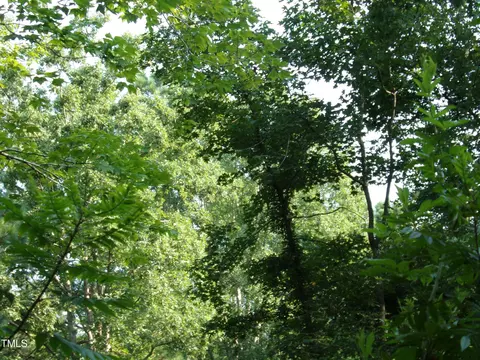 00 Anderson Rd, Spring Hope, NC 27882