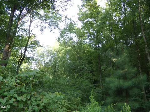 00 Anderson Rd, Spring Hope, NC 27882 photo 3