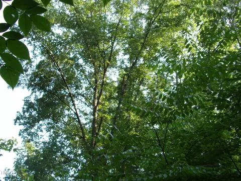 00 Anderson Rd, Spring Hope, NC 27882 photo 5