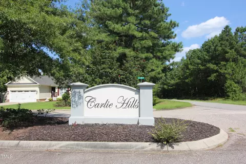 16 Ithica Ln, Bunnlevel, NC 28323 photo 5