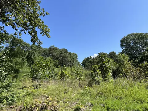 8 D L Phillips Ln, Broadway, NC 27505
