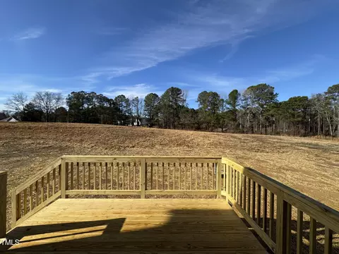 97 Mapledale Ct, Benson, NC 27504 photo 18