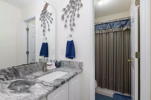 3 Weeping Beech Way, Durham, NC 27713 photo 12