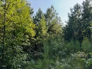 1 Thompson Rd, Bunnlevel, NC 28323 photo 10