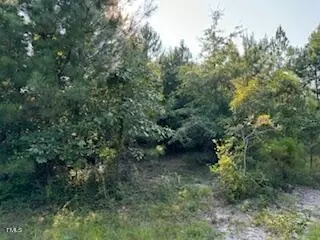 1 Thompson Rd, Bunnlevel, NC 28323 photo 12