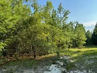 1 Thompson Rd, Bunnlevel, NC 28323 photo 3