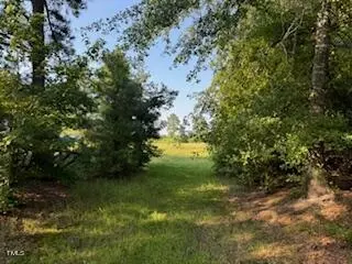 1 Thompson Rd, Bunnlevel, NC 28323 photo 5