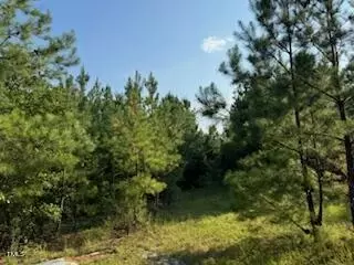 1 Thompson Rd, Bunnlevel, NC 28323 photo 13