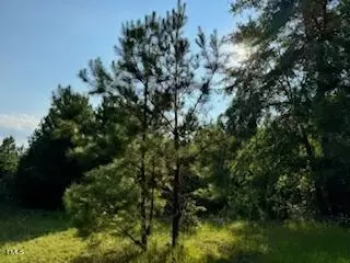 1 Thompson Rd, Bunnlevel, NC 28323 photo 8