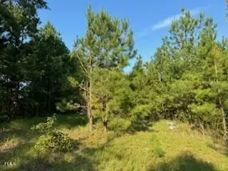 1 Thompson Rd, Bunnlevel, NC 28323 photo 2