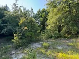 1 Thompson Rd, Bunnlevel, NC 28323 photo 11
