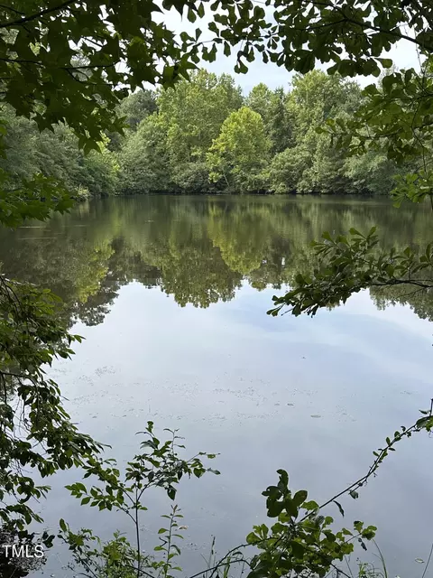 0 Dixon Rd, Willow Springs, NC 27592 photo 14