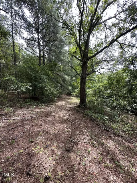 0 Dixon Rd, Willow Springs, NC 27592 photo 15