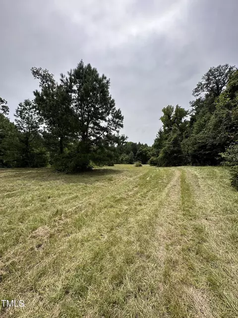 0 Dixon Rd, Willow Springs, NC 27592 photo 7