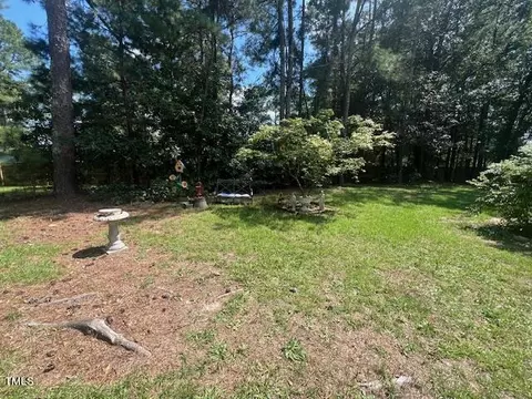 707 Byrds Pond Rd, Erwin, NC 28339 photo 34