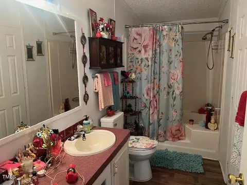 707 Byrds Pond Rd, Erwin, NC 28339 photo 21