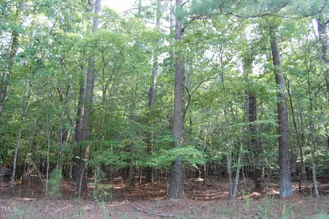 0 Tom Webb Rd, Roxboro, NC 27574 photo 2