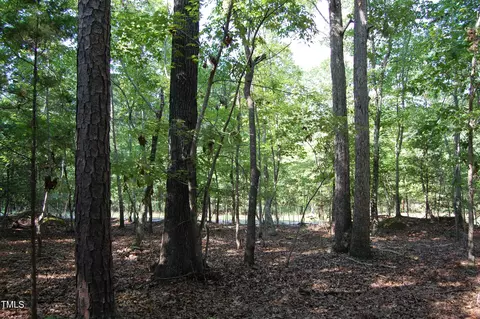 0 Tom Webb Rd, Roxboro, NC 27574 photo 6