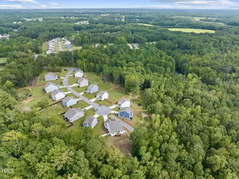 View/Area - 126 Courrone Ct, Willow Spring, NC 27592 photo 3 of 8