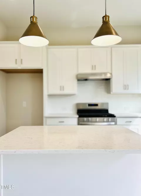 336 Murray Grey Ln, Wake Forest, NC 27587 photo 8