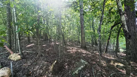 tbd Fire Tower Dr, Rougemont, NC 27572