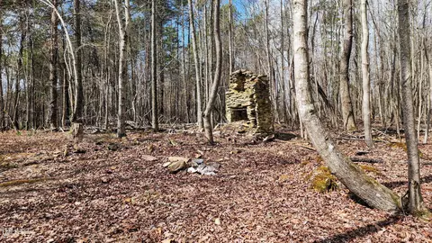 tbd Hwy 57, Rougemont, NC 27572