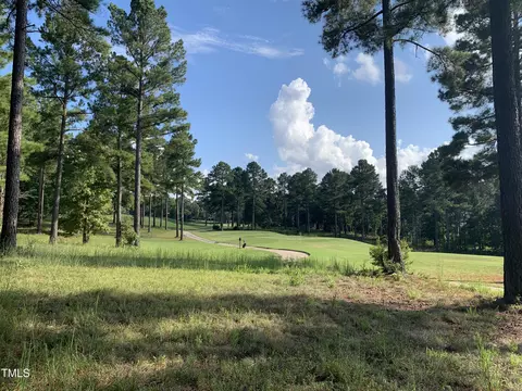 95 Cabin Crk, Pittsboro, NC 27312