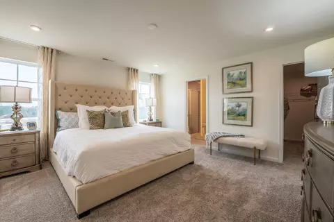 Bedroom - 6436 Winter Spring Dr, Wake Forest, NC 27587 photo 1 of 8
