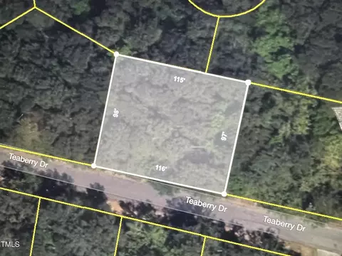 729 Teaberry Dr, Vass, NC 28394