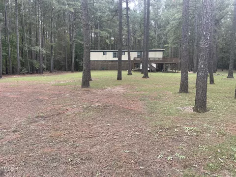 907 Black River Ln, Harrells, NC 28444 photo 6
