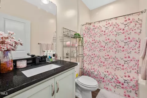 33 Hawks Croft Ct, Erwin, NC 28339 photo 18