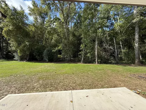 175 Grace Ridge Ct, Benson, NC 27504 photo 19